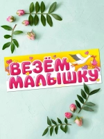 Магнит для авто «Везем малышку»