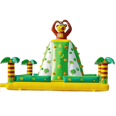 Скалодром "Цитрус" 6*6*6 м