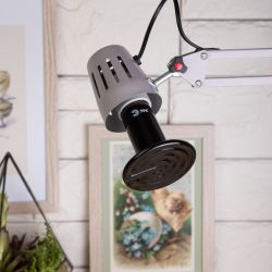 Инфракрасная лампа ЭРА FITO-200W-НQ керамическая серии CeramiHeat модель RX для брудера, рептилий 200 Вт Е27 | Инфракрасные лампы