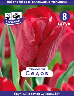 Тюльпан Луковица, Седов 8 шт, разбор 12+