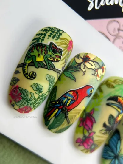 Пластина для стемпинга Enigmanic Stamping №026