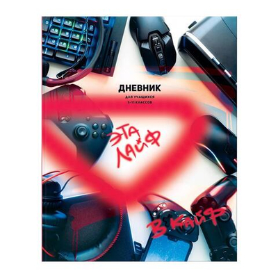 Дневник школьный (5-11) 48л. "В кайф" мат. ламинация (BG)