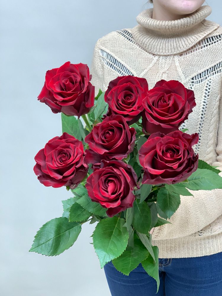 Букет 7 красных роз Эквадор 50см в ленте