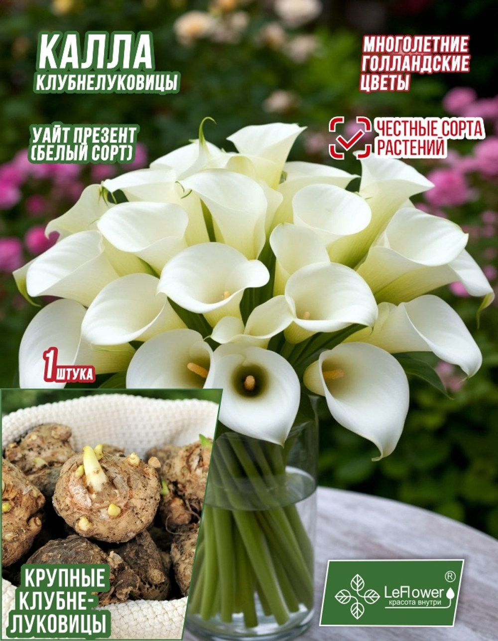 Калла, Клубнелуковица, Уайт Презент, 1 шт.
