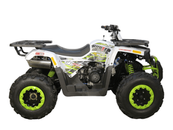 Квадроцикл AVANTIS H200 NEW (БАЛАНС. ВАЛ)