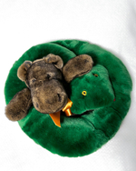 Королевская Змея