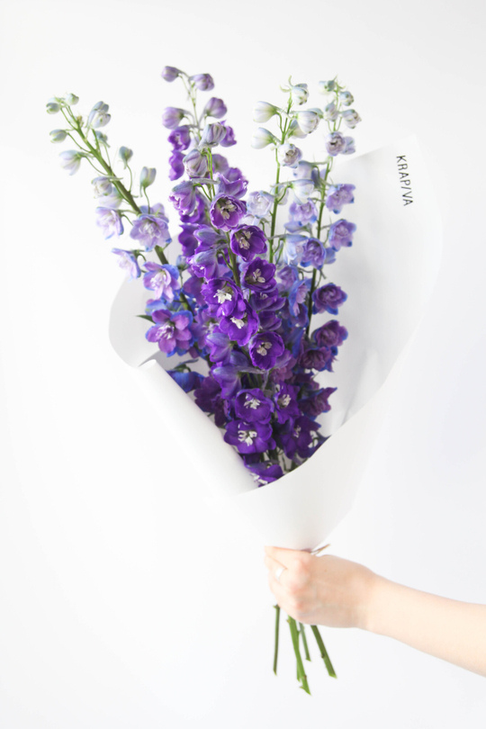 Монобукет Дельфиниум