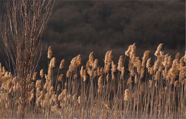 Верхняя одежда на осень и зиму Верхняя одежда на осень и зиму