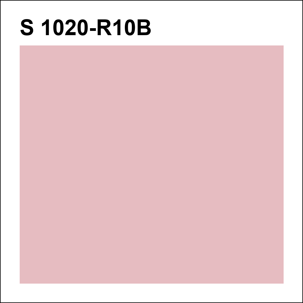 S 1020-R10B за кг