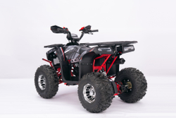 Квадроцикл YACOTA SIRIUS 125 LD