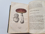 "Ботанические беседы". Б.Ауэрсвальд, Э.А.Россмесслер. 1860г.