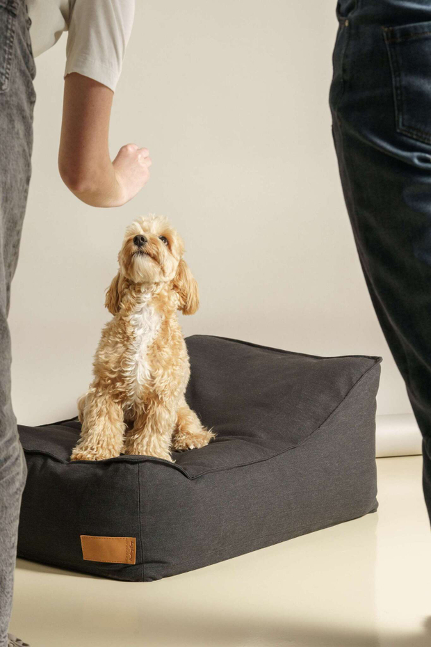 Лежанка "Пони-трамплини" Черная