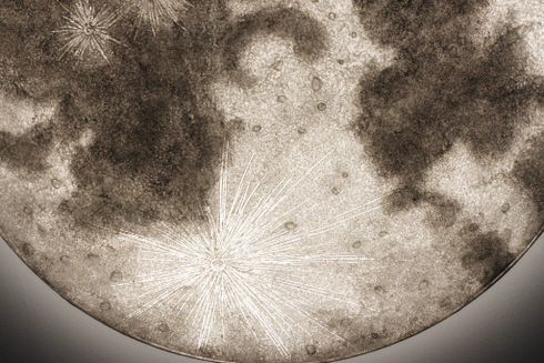 Ночник - Луна (40 см) на стену