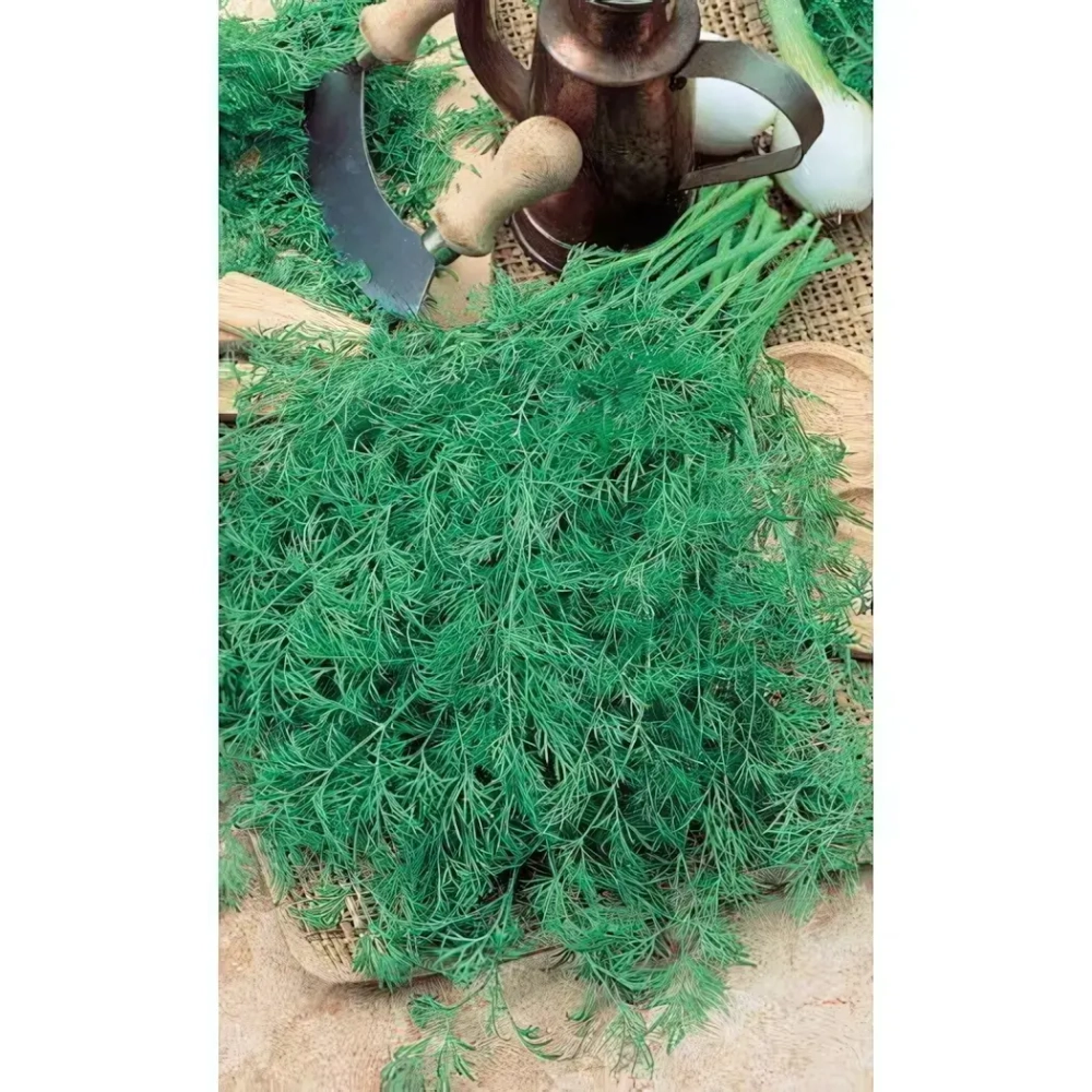 Семена Укроп Супердукат ОЕ (Марс) Б/П