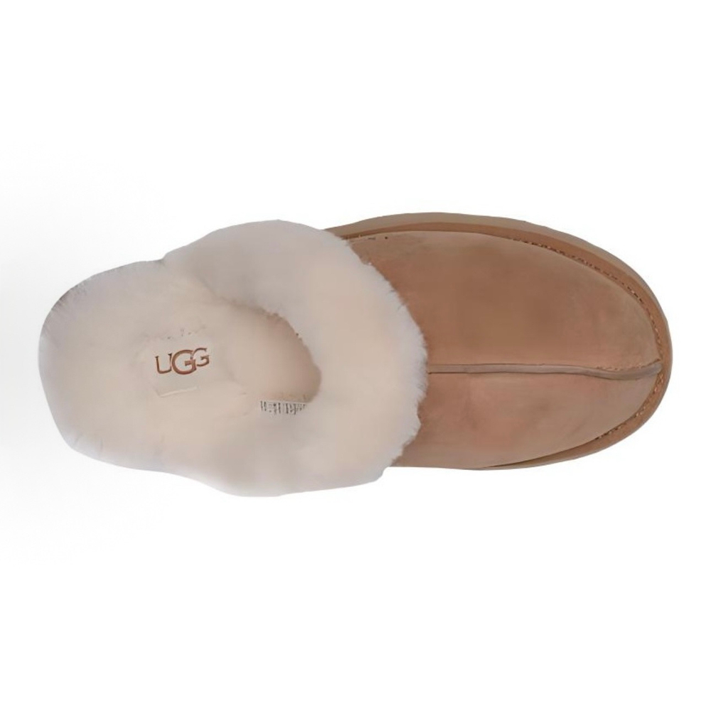 UGG Disquette