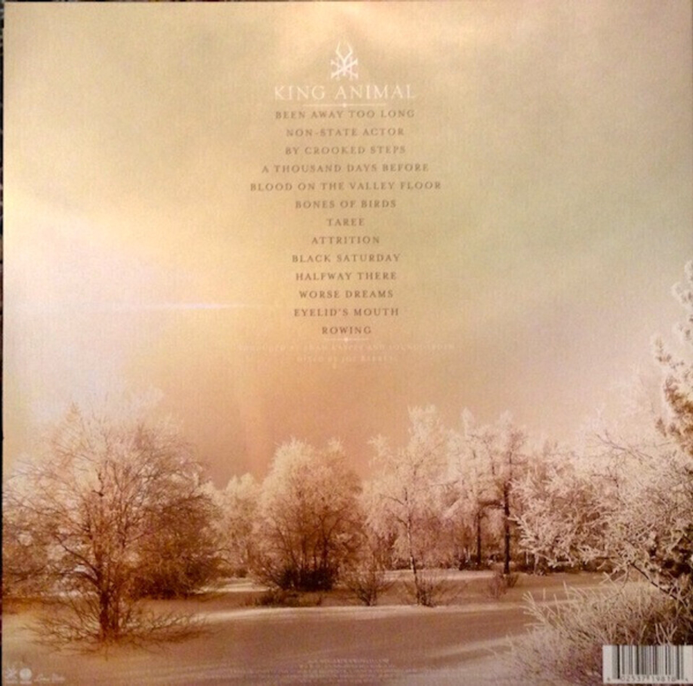 Soundgarden / King Animal (2LP)