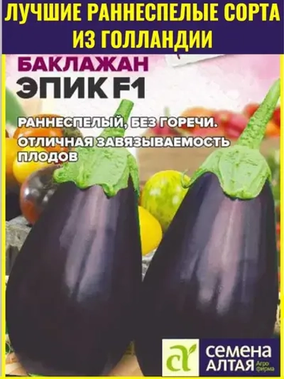 Семена раннего баклажана Эпик F1. Голландская селекция