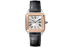 Cartier Santos Dumont 4.47335E+16