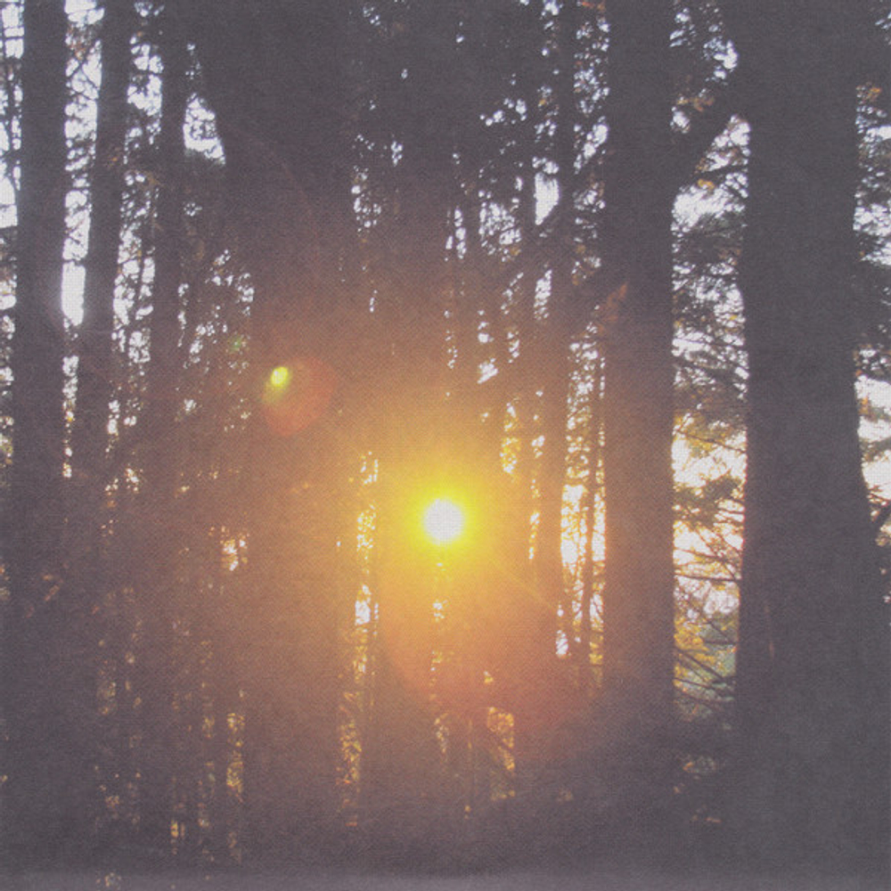 Xiu Xiu, Deerhoof - Almost Xiu Xiu, Almost Deerhoof - Orange 7''