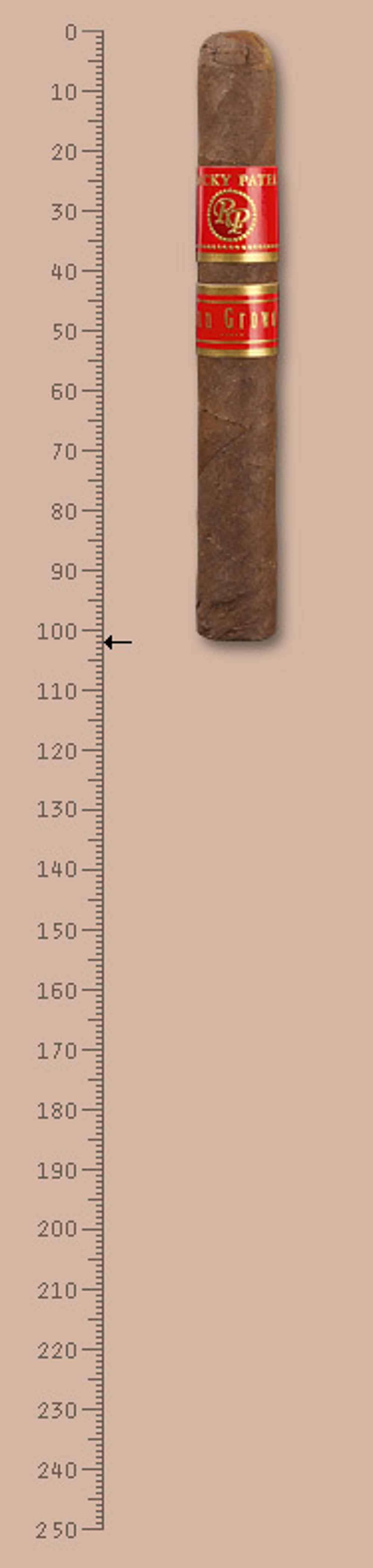 Rocky Patel Sun Grown Juniors