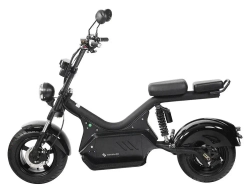 Электроскутер SKYBOARD CITYCOCO BR50-3000 PRO