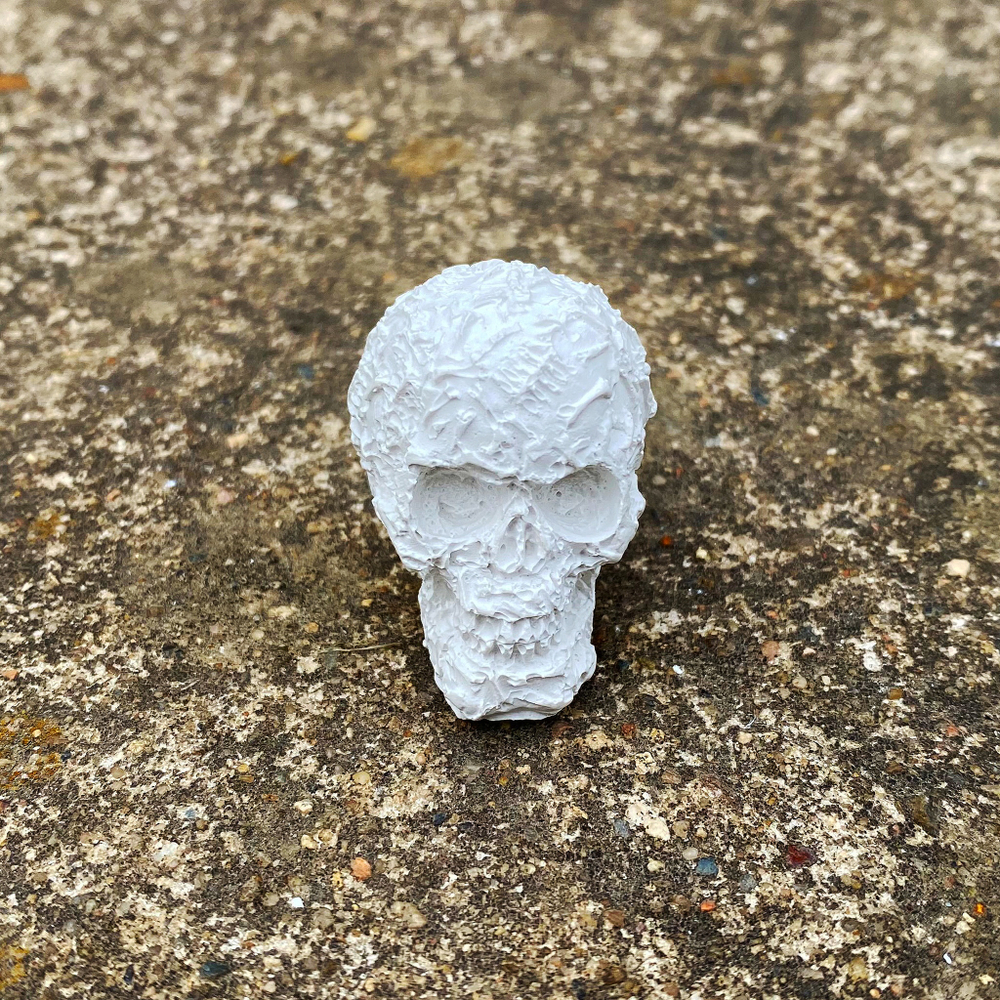 Череп дизайнерский для муравьиной фермы