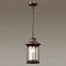 Уличный подвесной светильник Odeon Light Nature Mavret 4961/1