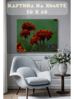 Картина на стену 40 X 50 Бархатцы