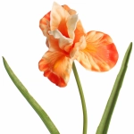 Цветок искусственный «Natur» 60см Ирис оранжевый