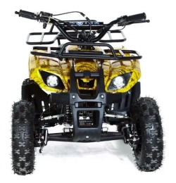 Квадроцикл MOTAX ATV Mini Grizlik X-16 (э/с)
