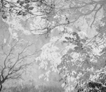 Дизайнерские обои Wall Street Vetve