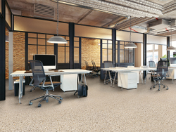 Линолеум коммерческий Profi Premium Venetto 2, 3х22м (рулон)