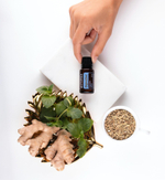 «Дайджест Зен» смесь для улучшения пищеварения, doTERRA DigestZen, 15 мл