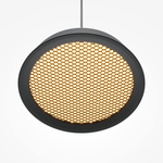 Подвесной светильник Maytoni MOD041PL-L15GB3K