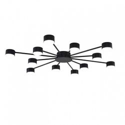 Потолочная люстра Lumion TORINA 8344/12C