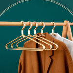 Металлические вешалки (5 шт.)