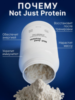 Протеин сывороточный с черничным пирогом Not Just Protein