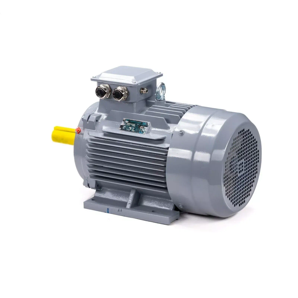 Электродвигатель ESQ PR 132 M4 GST-Б3-S12-IE2 230/400V 11/1500 IM1081