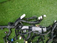DSCN7171.jpg