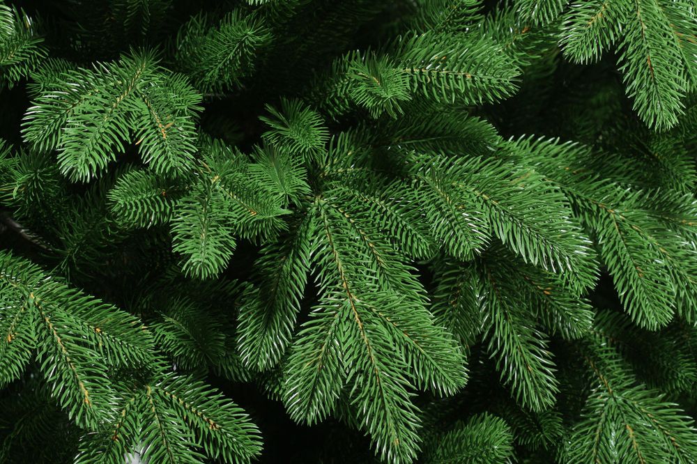 Ель искусственная «Оливия» (Литая хвоя) 120 см / 1,2 м