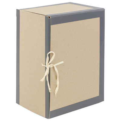 Короб архивный 180х240х330 мм, переплетный картон/бумвинил, завязки, до 1700 л.