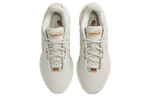 Кроссовки Nike Lebron 21 Ep "Akoya" 21 Lbj21