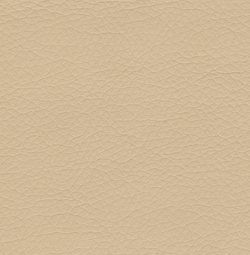 Искусственная кожа Аэро латте (Aero latte)