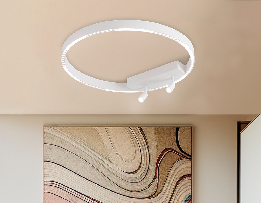 Ambrella Потолочный светодиодный светильник LineTech FL5807