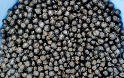 Рябина черноплодная замороженная (вес)