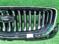 Решетка радиатора Geely Monjaro (2021-н.в.)