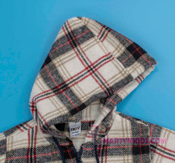 рубашка фланель с капюшоном на замке 4923