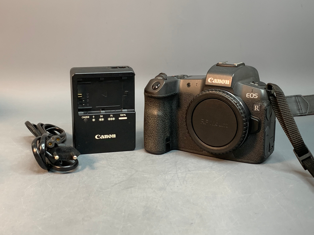 Canon EOS R 53.000 кадров