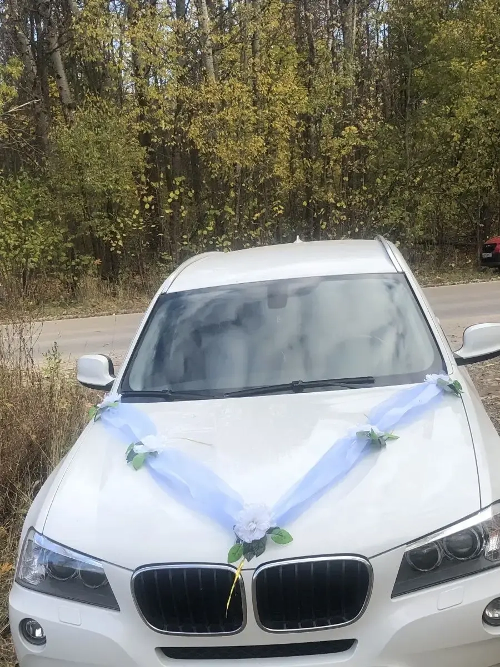 Лента на капот